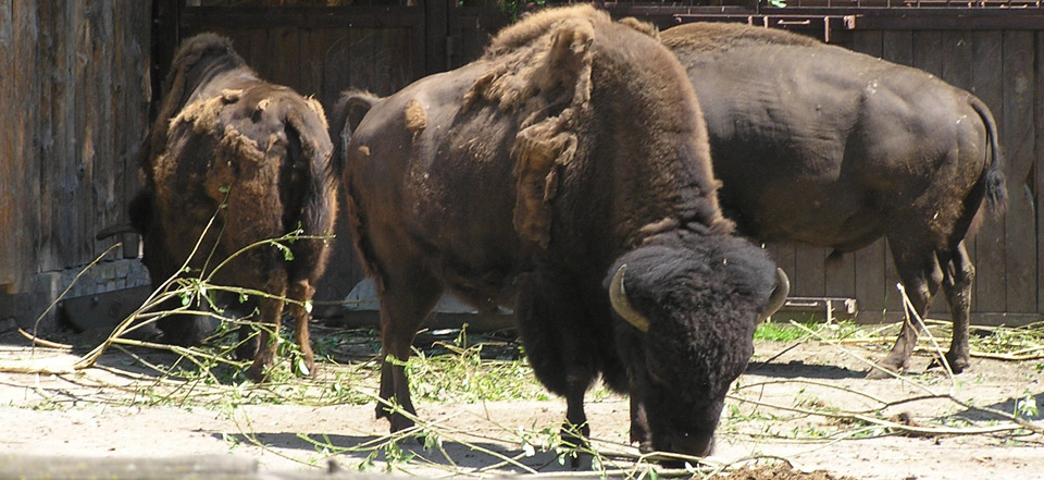 在线电话轰炸测试